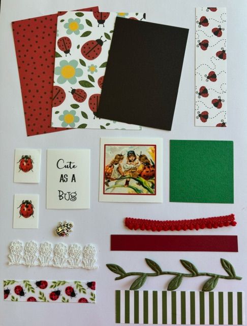Artist Trading Card Kit of the Month - July 2024 Ladybug  Artist Trading Card Kit of the Month - July 2024 Ladybug